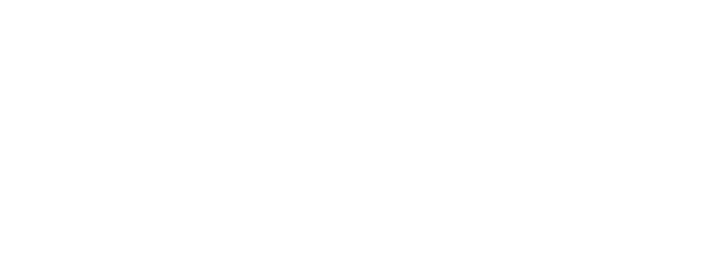 light logo